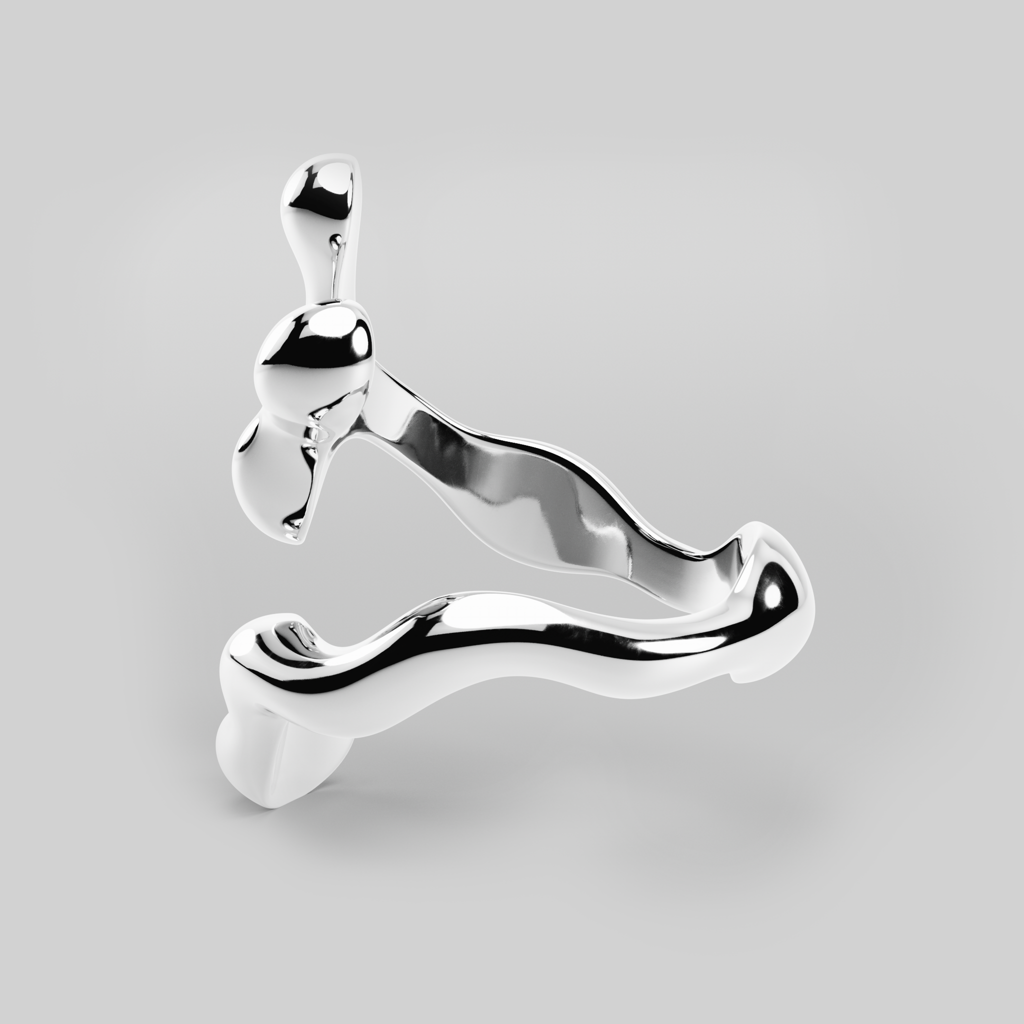 Ring No. 5